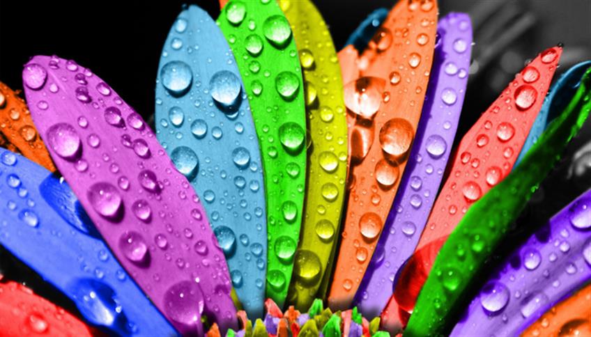 Cromoterapia, l'effetto benefico dei colori e della luce Cromoterapia, l'effetto benefico dei colori e della luce